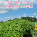 강동맑은내과의원 이미지