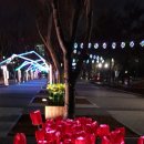 개인(용달)화물 이미지