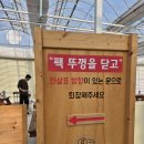 새밑농장 1 | [춘천] 농장 알로록, 아기랑 춘천 가볼만한곳 가기좋은 이색데이트 실내 딸기 체험