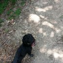 구암약수터 이미지