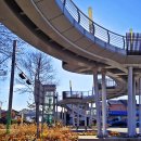 청주가로수길 이미지