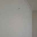 동아아파트(1차) 이미지