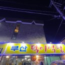 지에스25 내곡플라자 | 투어스토리 [2026 새해 DDP 카운트다운 / 일출 투어 ] 정동진 해수욕장 후기