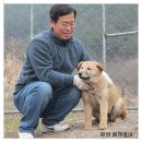 화은 이미지