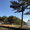 영흥도 갤러리 이미지