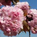 아담다락 이미지