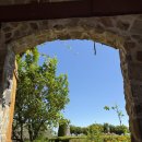 이백농장 | [여행후기] 미국/샌프란시스코 - 나파밸리 2편 _ 샌프란 출발 와이너리 투어 후기🍇-Ru Vango / Jacuzzi...