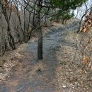 정양산성 이미지