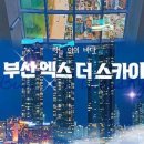 스카이네비 이미지
