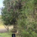 주안민박 이미지