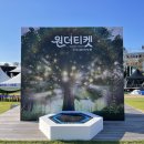 티켓나무