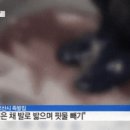 족발나라 이미지