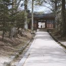 순천-52호 티스토리