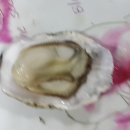 한신로 이미지