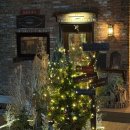 숲속캠핑장 | [캠핑장 후기] 서울 인근 감성캠핑장 찾아 떠난 김포 여울지숲속캠핑장 후기