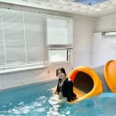 스테이경포 풀빌라 | 강릉 10만원 초반대 가성비 개별풀빌라 추천 스테이경포 내돈내산 리뷰