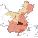 중국 신종 코로나바이러스 실시간 감염 통계 사이트 이미지