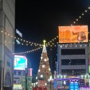 (주)서우팜 | 2025년 12월 둘째주