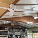 양평칼국수 | 부산 | 다대포 칼국수 맛집 [양평 칼국수 본점] 방문 후기