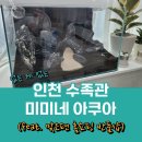 홈쇼핑반품아울렛
