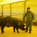 억대축산 이미지