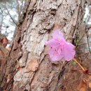 하나로회관 이미지