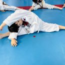 힘찬체육도장 이미지