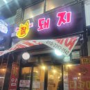 바로잘돼지