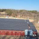 이 가축인공수정소 이미지