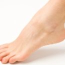 고양이속눈썹 네이버블로그