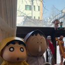 뉴욕피티 | 대신동피티 출산후 오운완 내돈내산 재등록 만족 후기 "뉴욕짐"