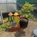 엄마 농장 이미지