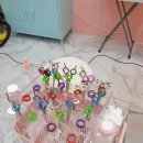 순수하개 이미지