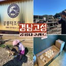 공룡타조랜드 | [경남고성] 아이랑 가기좋은 공룡타조랜드 체험후기
