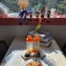 라움인제주