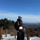 (주)뉴월드마트로연동점 | 제주도 한라산 탐방예약, 설산 준비물 - 관음사 코스 등반 후기