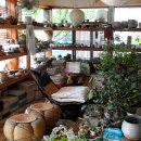 화개약국 이미지