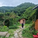 선류산장 티스토리