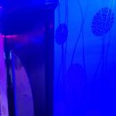 신바람 노래연습장 이미지