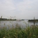 &#34;돌아와요 부산항에&#34; 이야기 이미지