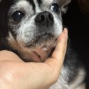 젠장 요요현상