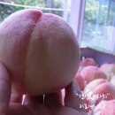 상욱농장 이미지