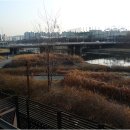 카페파구스 - 도봉구 도봉로106길 48 | 카페파구스