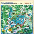 2013 대전 중구 문화원 문화탐방 "원시자연 생태누리 우포늪!" 이미지