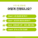 장청뇌청