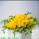 슈바빙 - 강남구 밤고개로1길 10 | 슈바빙