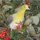 대사동천 이미지