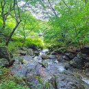 낙동정맥 이미지