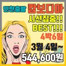 시선여행사