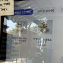 요아정 옥련점